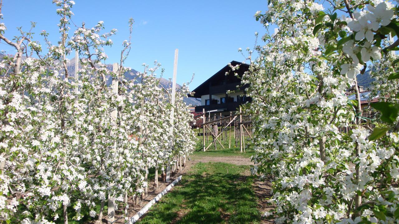 Pension Appartment Hecherhof Merano Eksteriør bilde